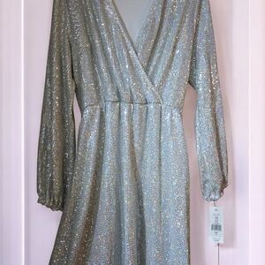 Elegant Silver Sequin Dress